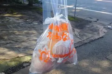 ลูกแพร์ของฉัน
