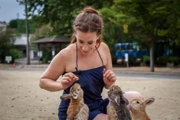 <p>On nourrit les lapins</p>
