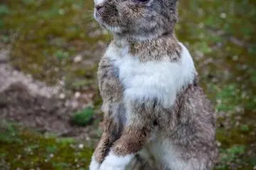 <p>Avez-vous quelque chose pour moi ?</p>
