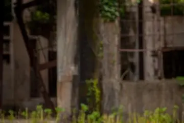 <p>Lorsque le "mignon" rencontre le c&ocirc;t&eacute; morbide de l'&icirc;le : un lapin devant les ruines de l'usine de gaz toxiques</p>
