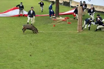 By wrapping the rope around the post they get more leverage.