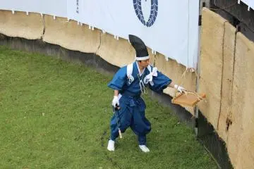 The antlers are loaded into this tray to be presented as an offering to the god of Kasuga Shrine