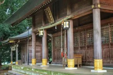 Gallery image