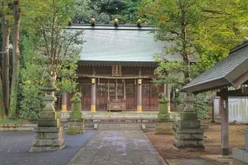 Gallery image