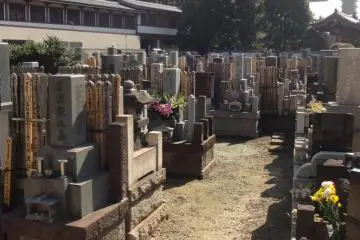 The temple cemetery. Japanese cemeteries are often crowded and this one is no exception. There are some very old gravestones here.