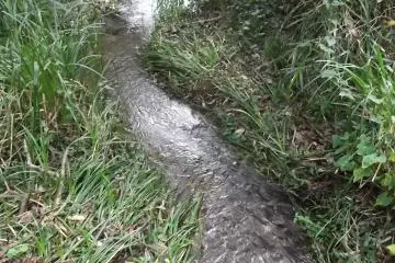 <p>Satu dari sekian banyak aliran sungai sepanjang taman</p>