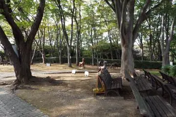 <p>Museum Park</p>