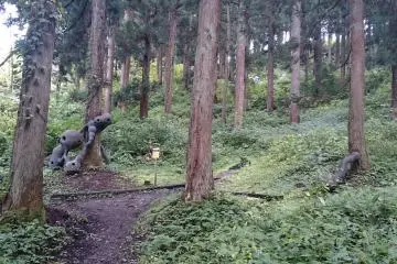 <p>Sculptures seemingly growing out of trees</p>