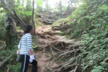 The hike starts to get interesting.