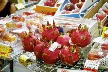 Dragonfruit at a local vendor shop