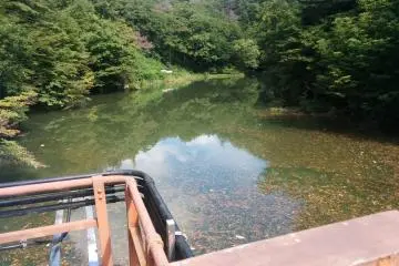 <p>sungai di belakang bendungan</p>