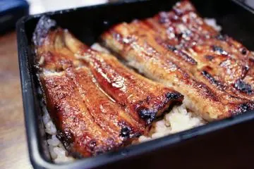 조우나주 (밥 위에 장어구이)