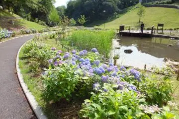 <p>Taman Hodogaya</p>