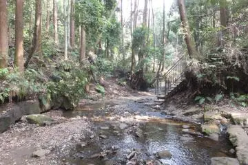 <p>Taman Jungashita</p>