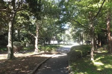 <p>Taman Kuraki</p>