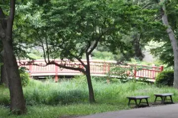 <p>Taman Alam untuk Anak Kota Yokohama</p>