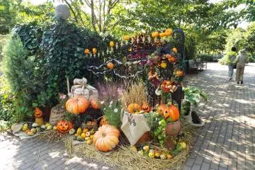 <p>Taman Inggris Yokohama</p>
