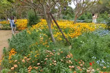 <p>Taman Botani Ofuna</p>