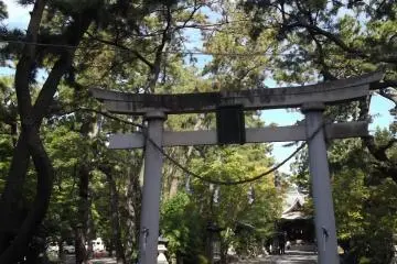 Gallery image