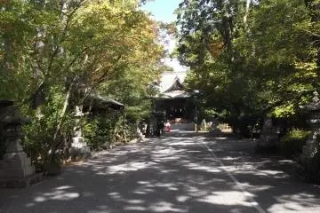 Gallery image