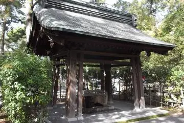 Gallery image