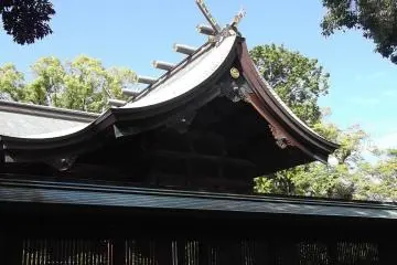 <p>The shrine halls are surrounded by trees</p>