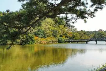 <p>Futtsu Park offers nice photo spots</p>