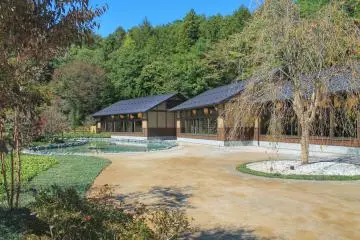 <p>A walk through the Ninja Village</p>