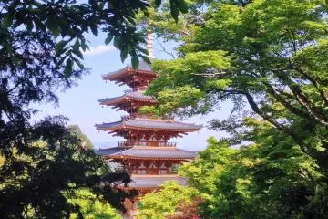 A glimpse of&nbsp;Nariaiji.