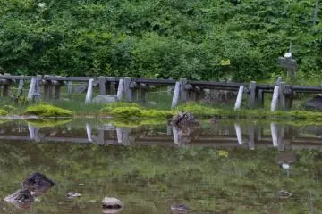 Small pond called Mida-ga-ike on the way down