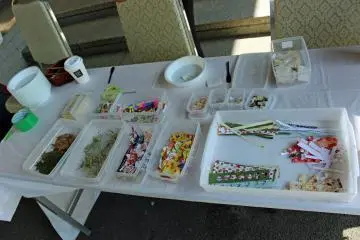 <p>The assortment of maple leaves, grasses and flowers, and decorative paper provided for the washi making</p>