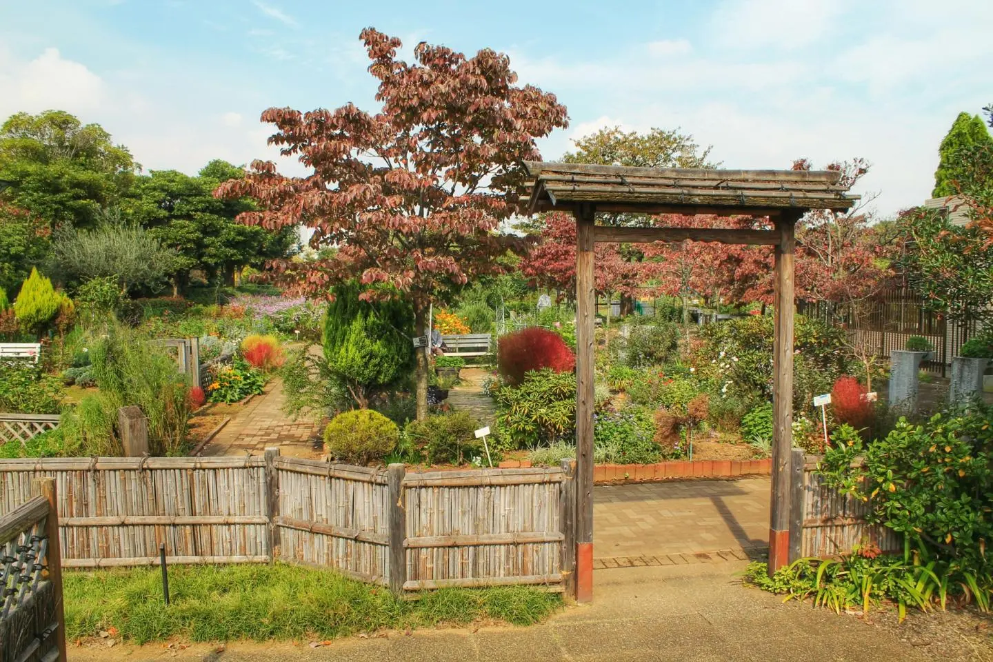 Kiba Park in Tokyo