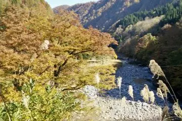 Crystal clear water in the river