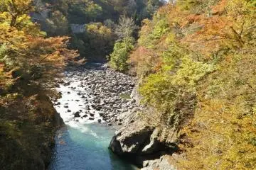 The view from the bridge
