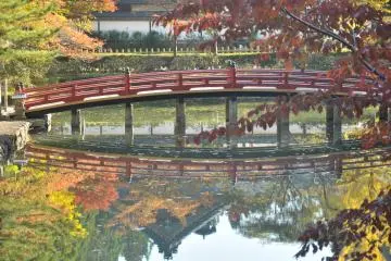 <p>Daun berwarna oranye tua bersandar di atas jembatan merah di sebuah kuil</p>
