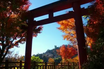 Magnificent Colors of Mt. Mitake