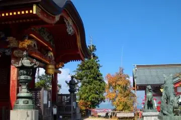 Gallery image