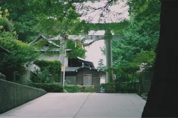 <p>Risshaku-ji Temple - Yamagata</p>