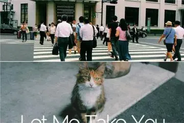 <p>Let me take you to Japan!</p>