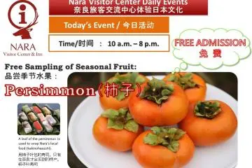 <p>The flier for the event</p>