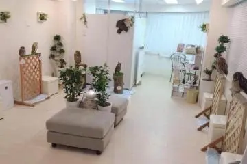 <p>ร้านแค่นี้ ความน่ารักอัดแน่น</p>