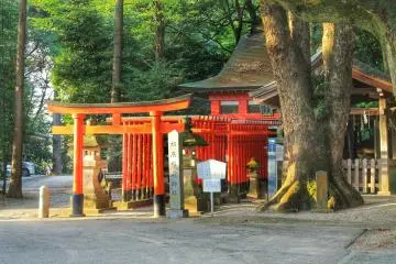 <p>Hatsutatsuinari Shrine</p>