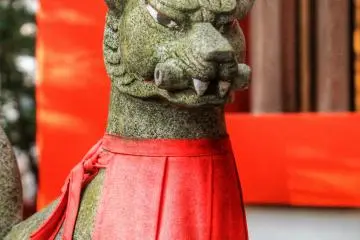 <p>A guardian fox at Hatsutatsuinari Shrine</p>