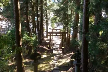 <p>fall in nikko</p>