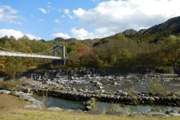 <p>fall in nikko</p>