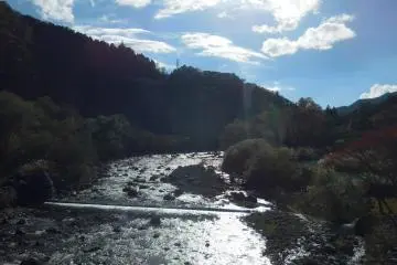 <p>fall in nikko</p>