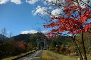 <p>fall in nikko</p>
