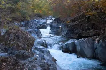 <p>fall in nikko</p>