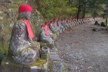 <p>fall in nikko</p>