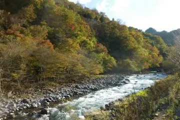<p>fall in nikko</p>